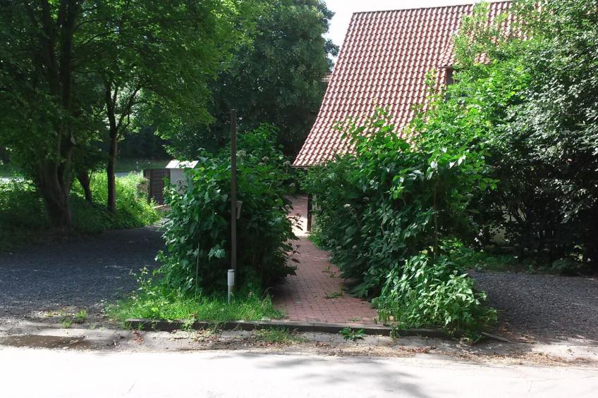 An der Königstrasse - foto 11