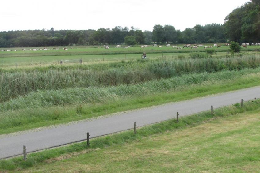 Koe in de Kost 2 - foto 24