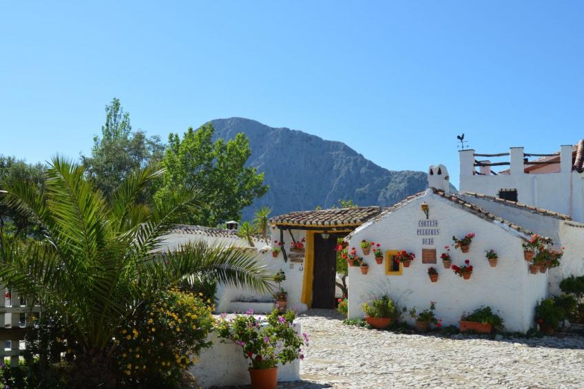 Cortijo Pulgarin Bajo - foto 28