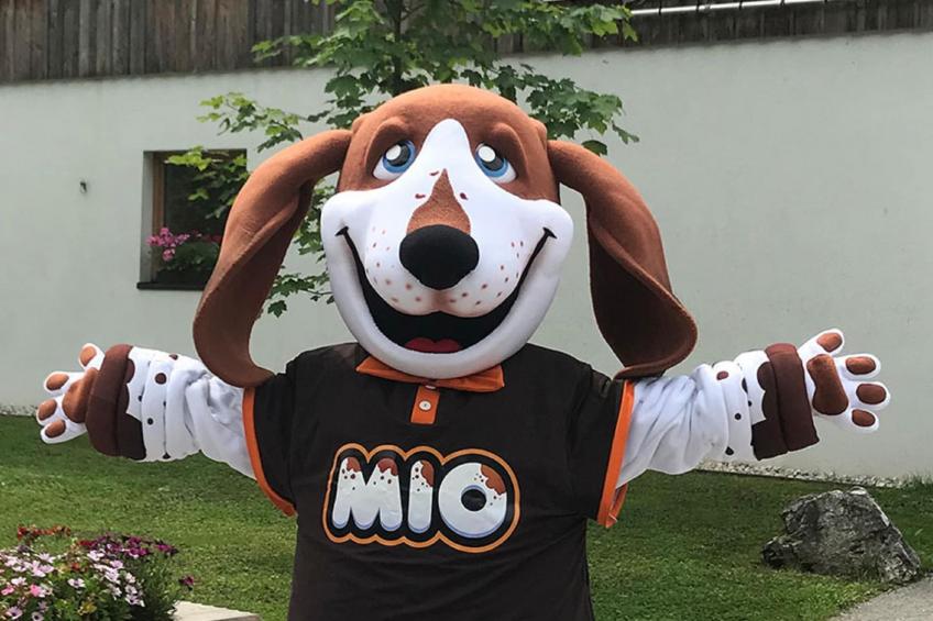 Resort Maastricht 37 - foto 39