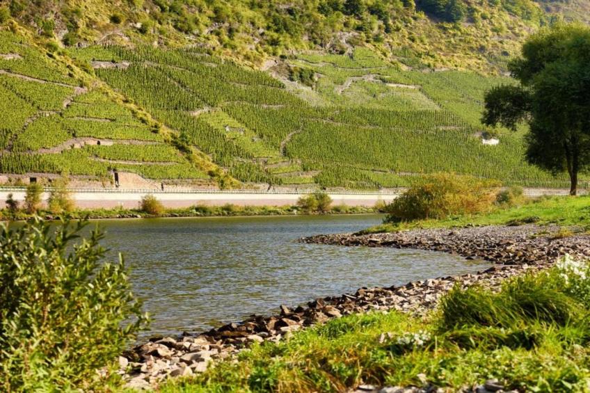 Weingut Hausmann - foto 35