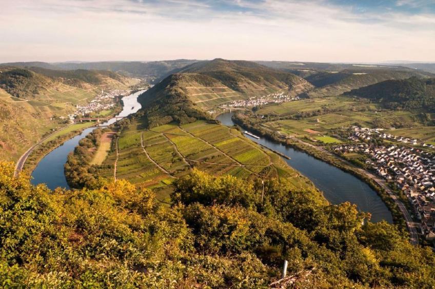 Perle-Lollipop - foto 30