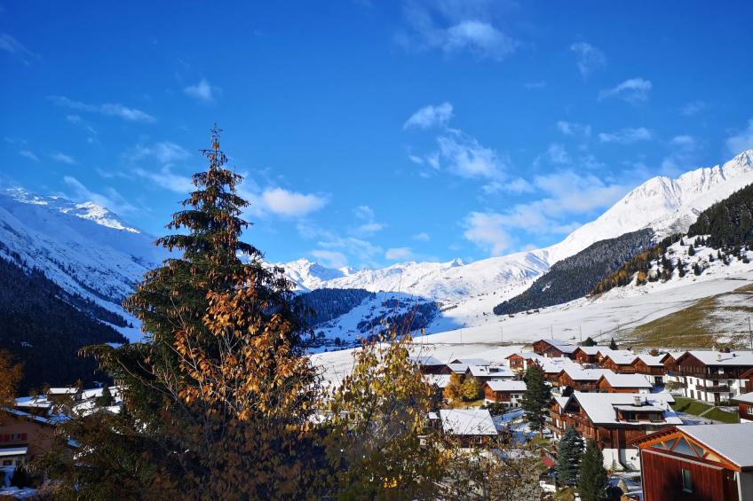 Chalet Dargun Bünter, (Camischolas/Sedrun), 221./222./224./.01+.02+.03 - foto 13