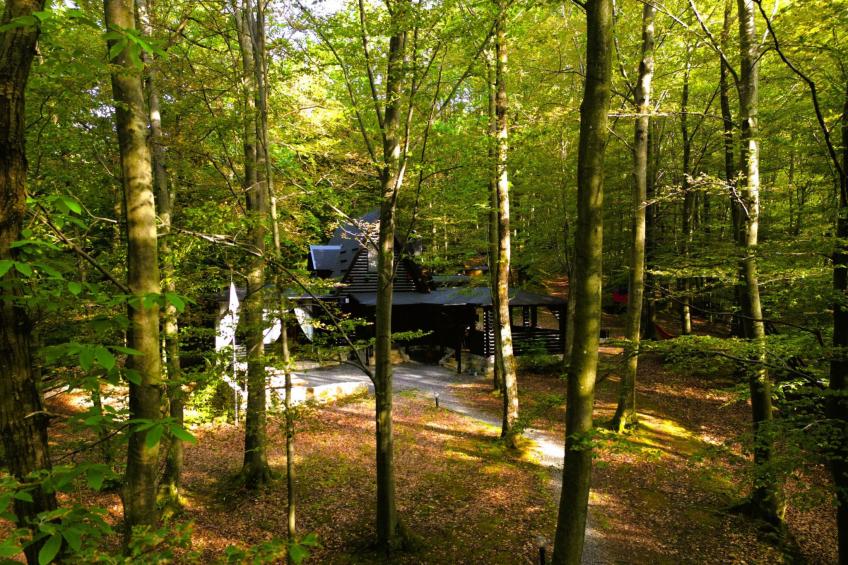 House Cabin Winterfell - foto 18