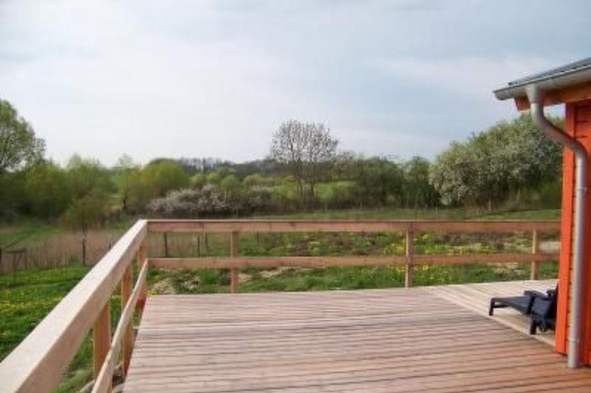 Alleenwiesen - foto 3