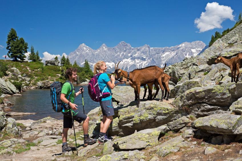 in Pruggern mit Terrasse und Garten - foto 37