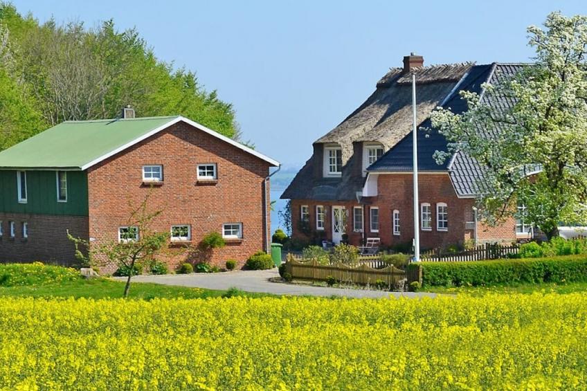 181863 - foto 3