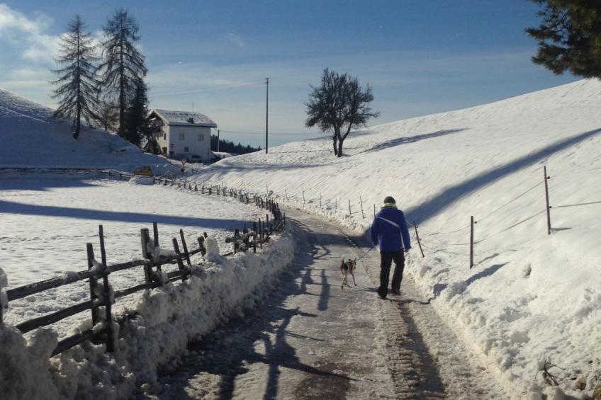 Chalet "Rennweg 114" mit Sauna - foto 37