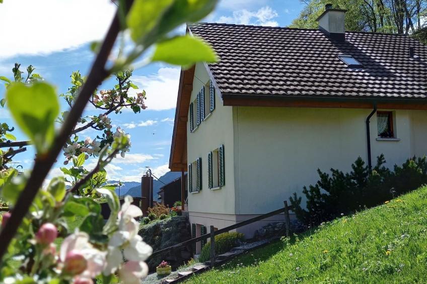 Lueg ins Land, (Mels), - foto 5