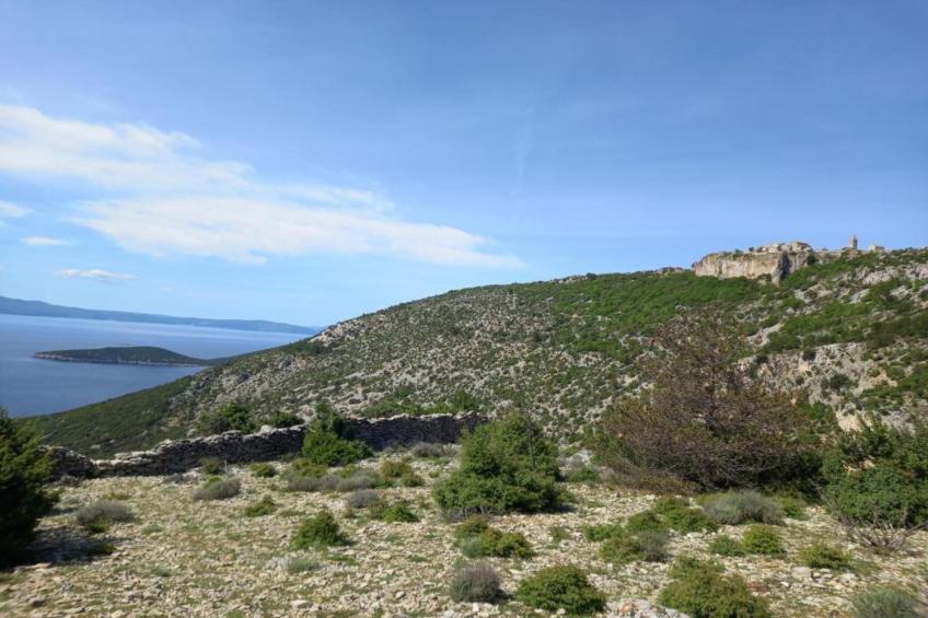 Enchanting Summer Apartment - foto 34