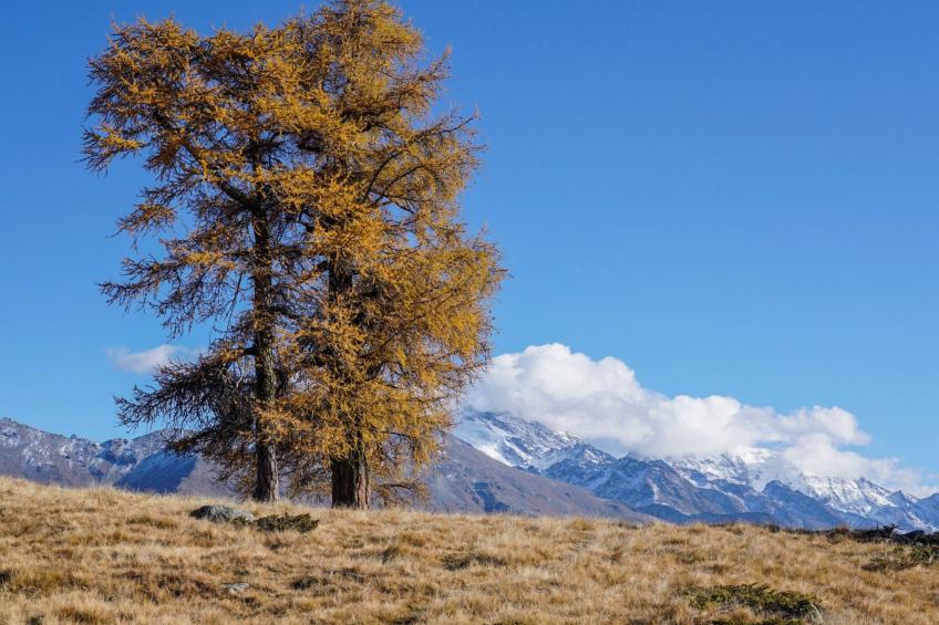 Chalet 1679 - foto 29