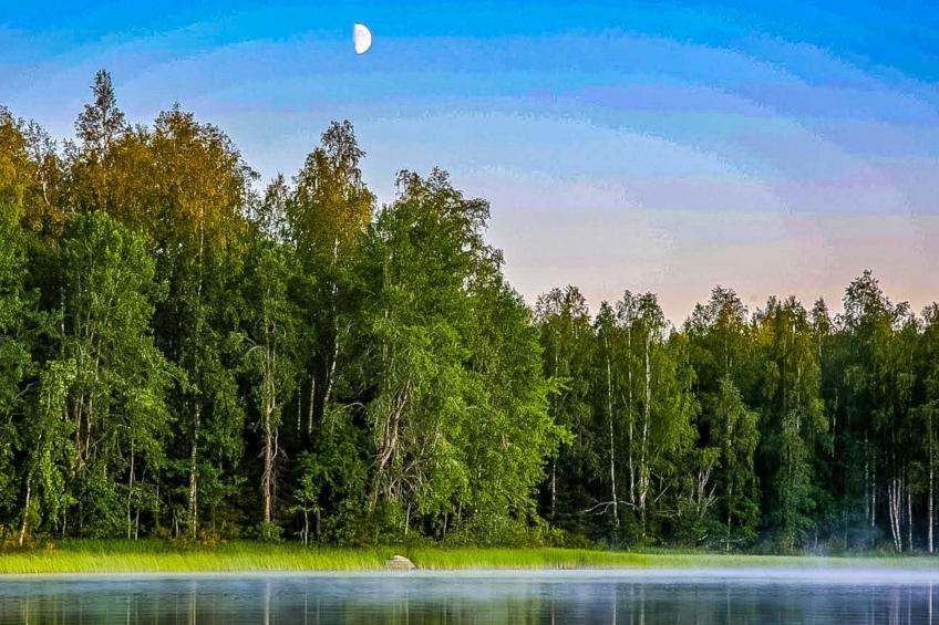 Vaikon loma ja lohi - foto 22