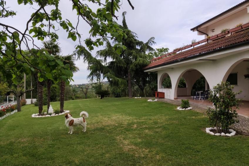 'Dear Peace on the Hill - foto 6