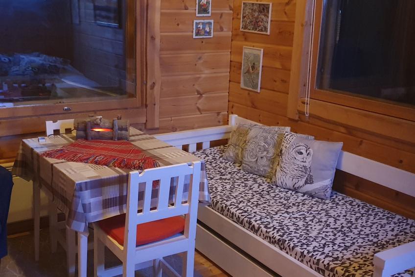 Pikkupöllö - foto 6