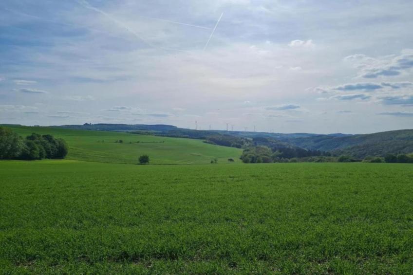 Altes Forsthaus - foto 36
