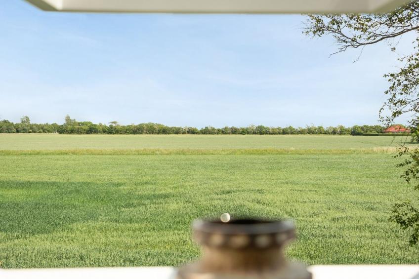 "Iina" in Western Jutland - foto 30