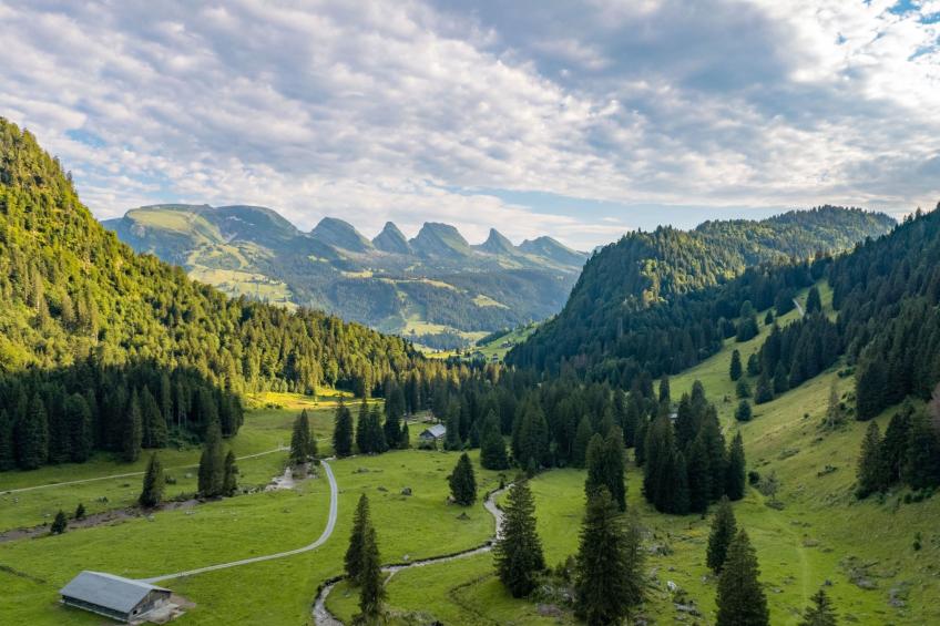 As Träumli - foto 15