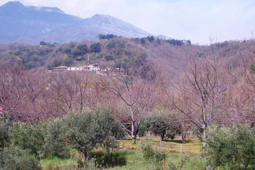 Anwesen "Casa Malù" mit Blick aufs Wasser - foto 43