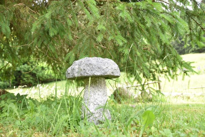 Studio Esche 2 - foto 24