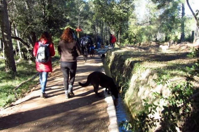 Feriendorf "Hort de la Cinteta". - foto 32