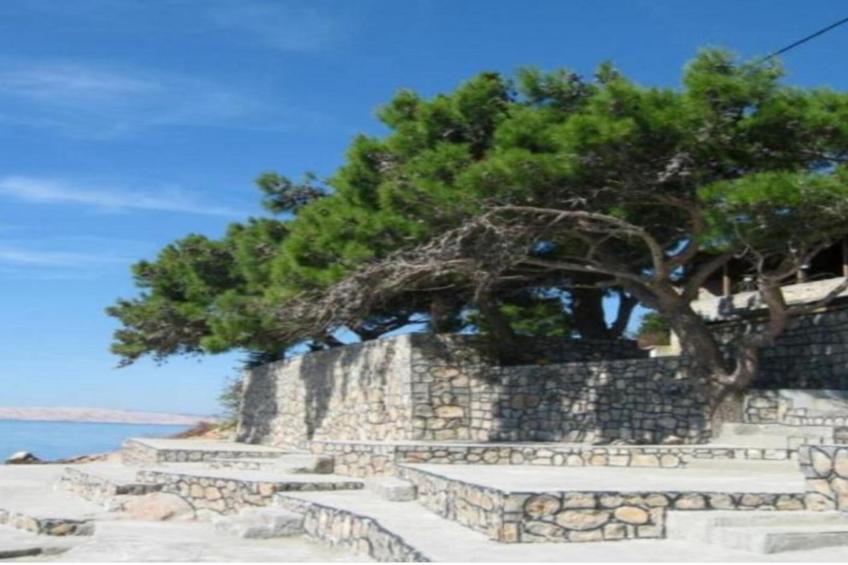 Studio Apartments Darija - A2 - foto 35