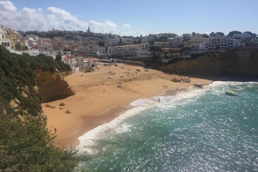 Montanha Vista - foto 27