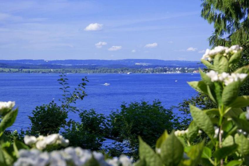 mit Garten im schönen Tannheim - foto 21