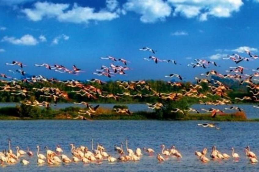 Villa mit Gemeinschaftspool zwischen Ferrara und Venezia - foto 12