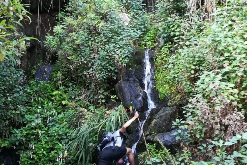 Freistehendes Ferienhaus La Maleza in La Palmita - foto 46