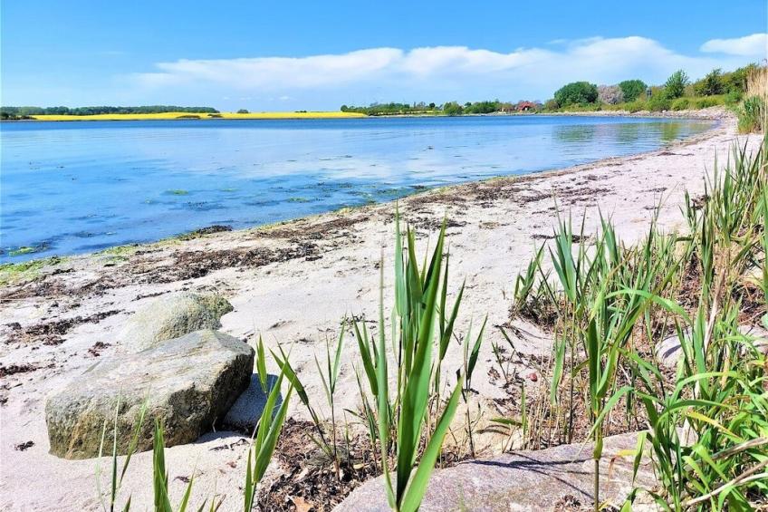 497300 - foto 36