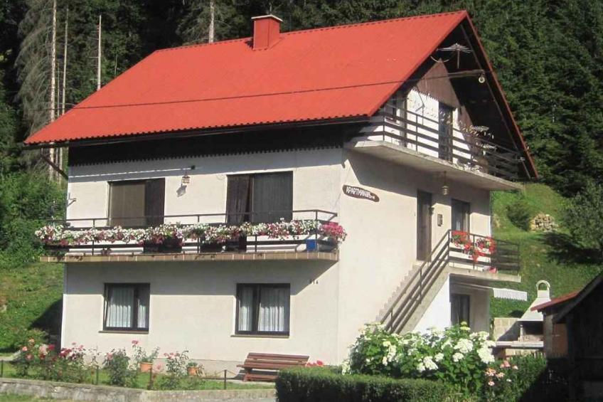 Vakantiewoning in een bos - BF-RWNR6 - foto 3