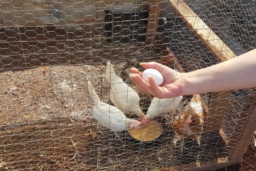 Villa Barone Landhaus mit Pool - foto 42