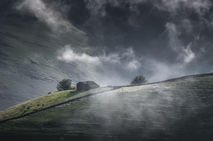 Fachwerkhaus mit Garten - foto 30