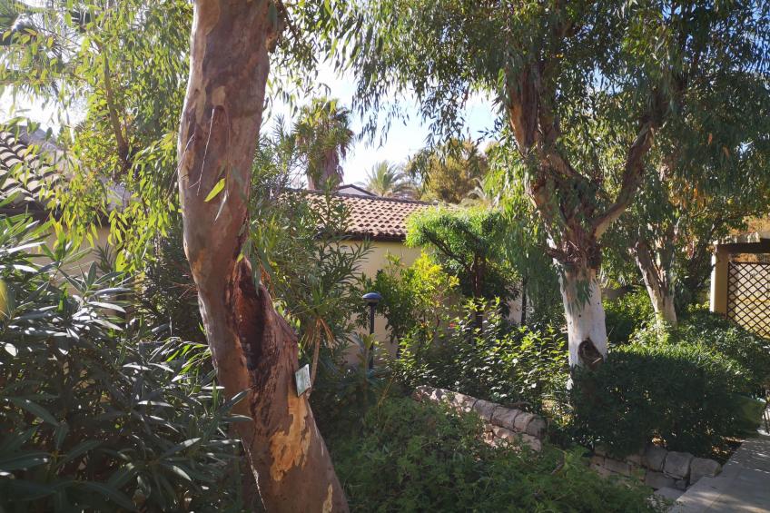 Schöner zentraler Bungalow direkt am Sandstrand auf Sizilien - foto 28