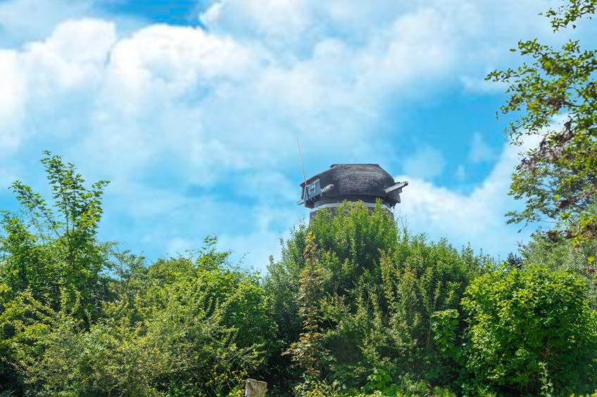 Duinvilla aan het Meer - foto 35