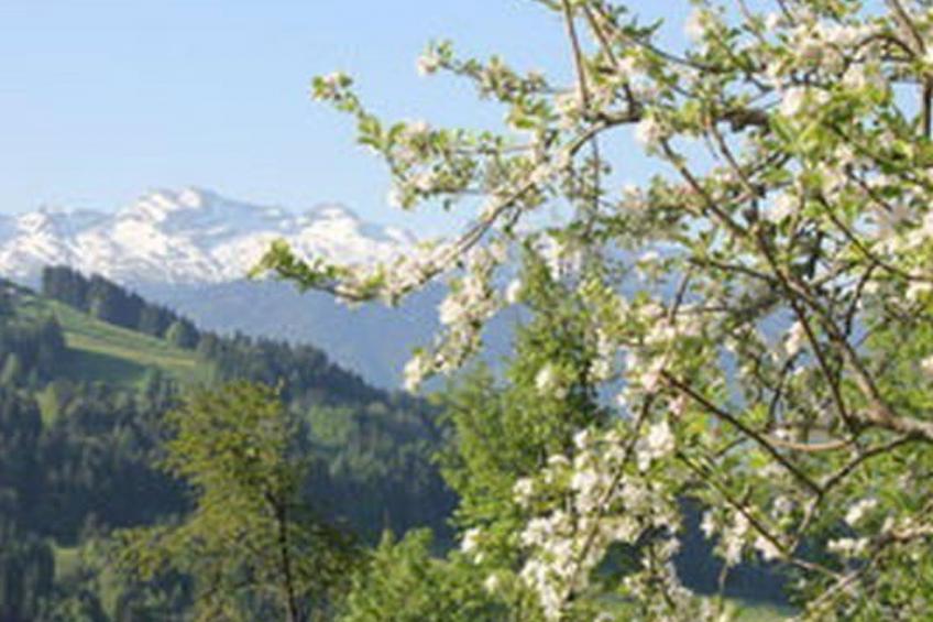 Obere Laui - foto 37