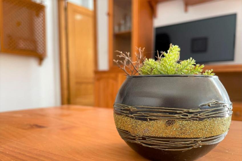 Apartamento Planta Baja con terraza - foto 10