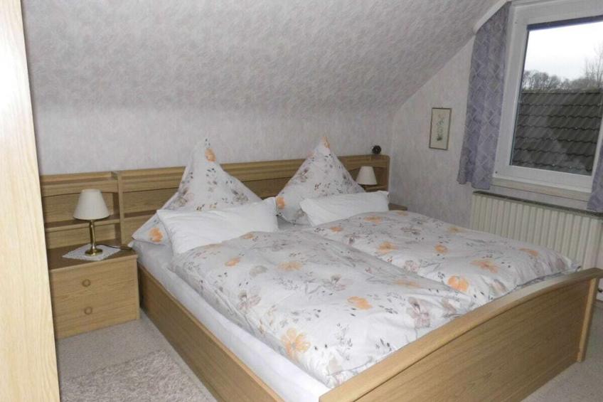 519958 - foto 5