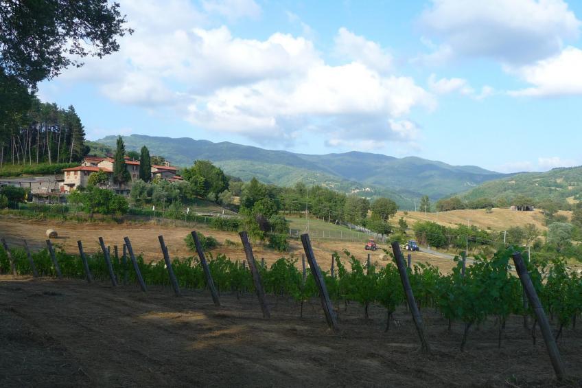 Lindenhaussiedlung mit Gemeinschaftspool - foto 38