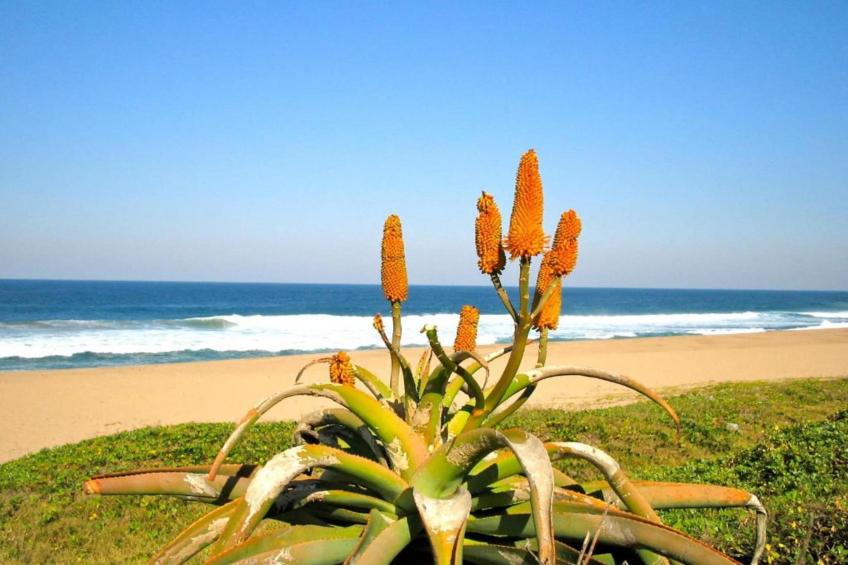 The Hayloft at Greystones - foto 39
