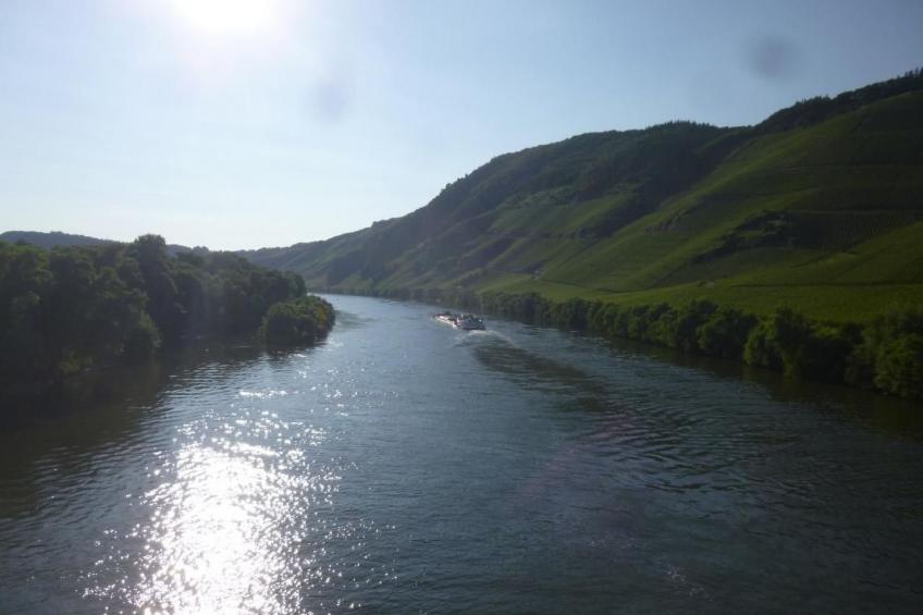 Moseljuwel-Traumferien Ferienwohnung - foto 31