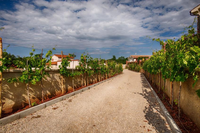 in Kras mit privatem Parkplatz - foto 8