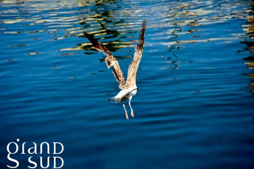 Résidence Le Studio De La Lagune: Studio Cabine Proche De La Plage - foto 24
