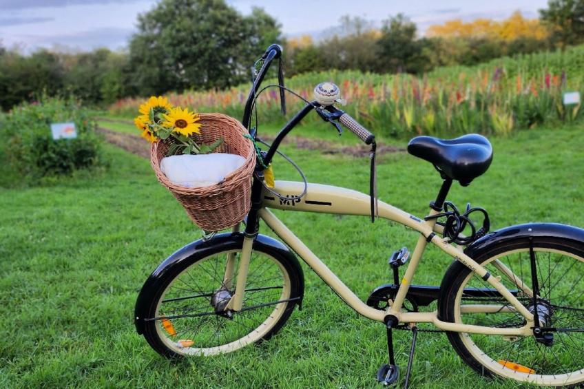 Das Familienreich - foto 26