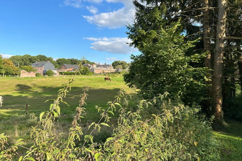 L'Ecureuil Blanc - foto 15