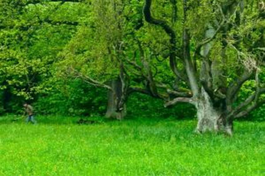 Ferienwohnung Christina - foto 22