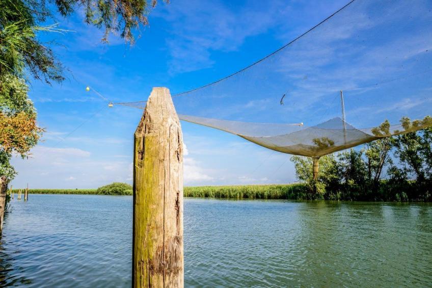 Folaghe bilocale - foto 25