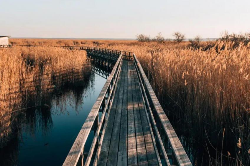 Guesthouse Naturgarten - foto 12