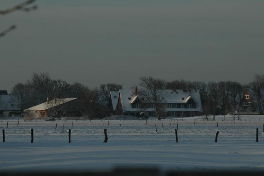 182673 - foto 3
