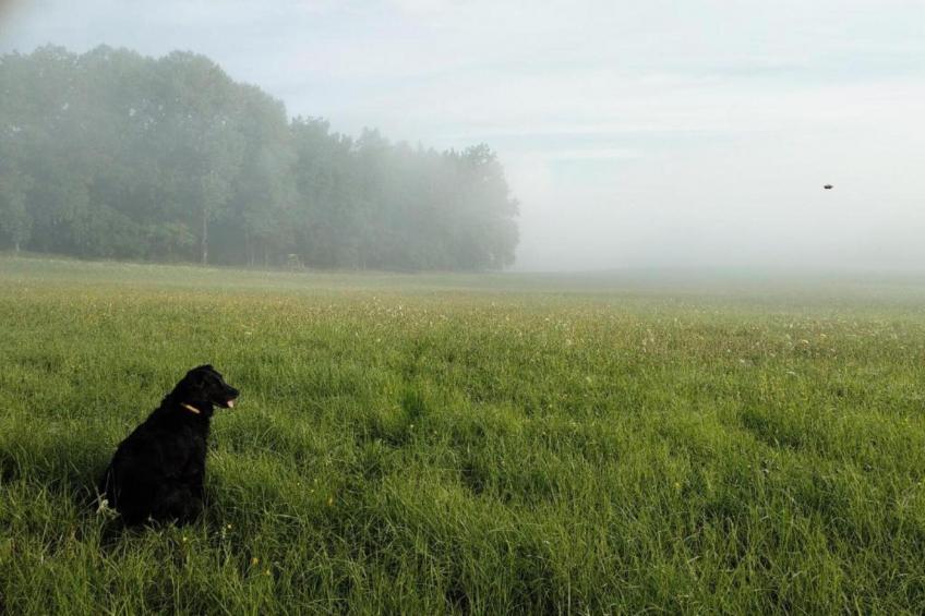 Villa Stastny - foto 34